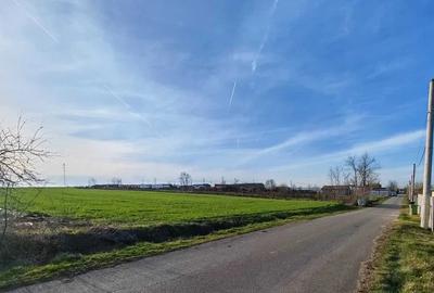 Vand loturi de 527 si 635 mp langa Delta Neajlovului la cel mai bun pret - 6