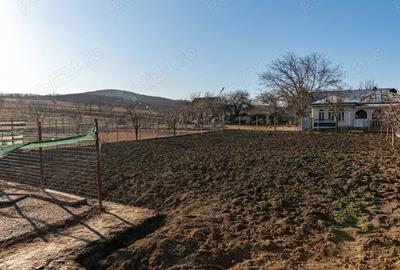 Casă cu Teren 820 Mp în Voinești - 7