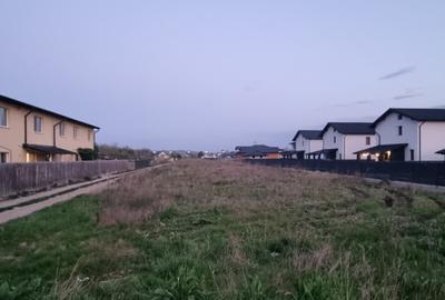 Teren de 7285 mp, în Șerbănești - 2