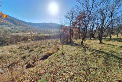 Spațiu comercial, în Fântânele