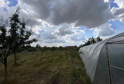 Casă individuală cu 3 camere cu Canalizare în Becicherecu Mic - 5