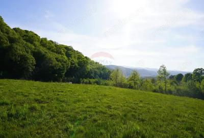 Teren 33,137mp Sighetu Marmatiei / Strada Mocani?ei - 4