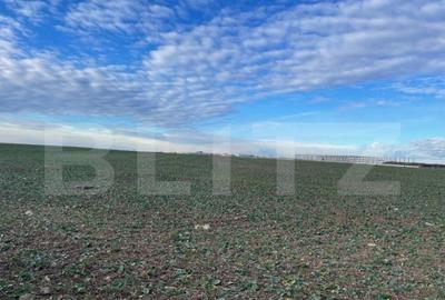 Teren intravilan industrial 44000 mp,deschidere 58,7 la stra - 1