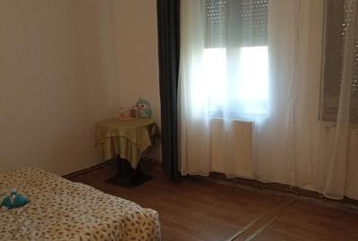Casa masiva nemtesca cu teren Giarmata - 6