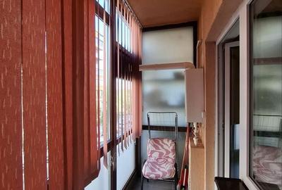 Apartament cu 2 camere în Roșu - 2