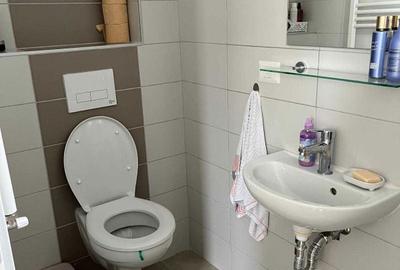 Apartament cu 3 camere decomandat în Olteni - 1