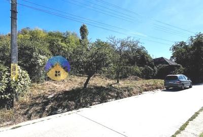 CASA + teren intravilan,  comuna BODESTI - 7