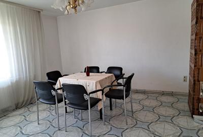 Casa mare cu 2 spatii comerciale, in Faget - 31