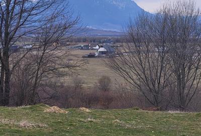 Spațiu comercial, în Central - 6