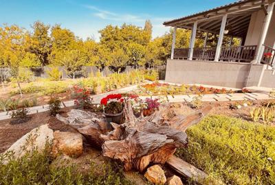 Casa 5 camere in Barnova, 150 mp utili si 1000 mp teren - 8