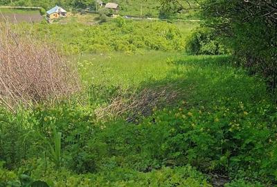 Teren de 1200 mp, în Humulești - 3