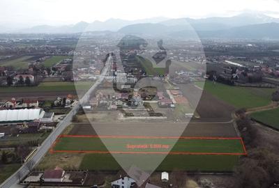 Teren Stupini 5.000 mp - 3