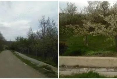 Teren de 2040 mp, în Cândești - 1