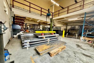 2 Hale, 1335mp, 175mp, 15 parcari, zona Petrom/ Dambul Rotun - 3