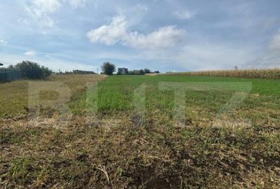 Teren de 2500 mp, în Central