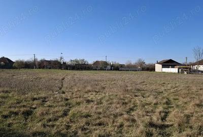 Teren intravilan Turnu - 2