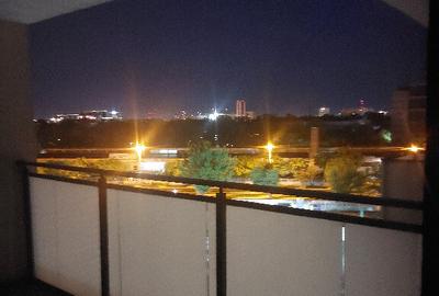 Inchiriere apartament 2 camere centrala termica Parcul Carol Inchiriere apartament 2 camere centrala termica Parcul Carol - 10