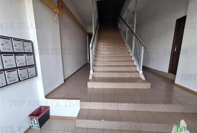 Apartament cu 2 camere semidecomandat, mobilat în Barieră - 12