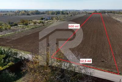 Teren de 7344 mp, în Joița - 2
