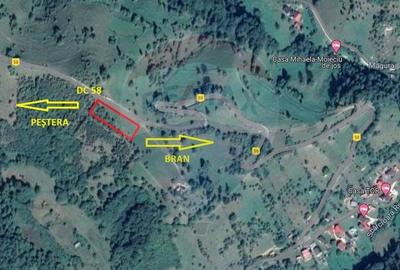 Teren agricol extravilan de 2000 mp, în Peștera - 7