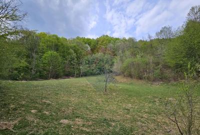 Teren superb, intravilan - la marginea padurii ! - 6