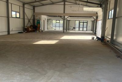 Hala Metalica Spa?iu Comercial Sud Bolintin Vale Giurgiu - 9