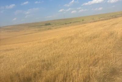 Teren de 500 mp, în Malu Mare - 2