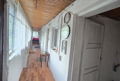Calarasi, com. Sarulesti - 9