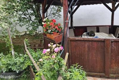 Vand casa 3 camere ARIUSD - 18