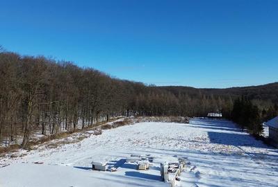 Teren Construcții intravilan de 9850 mp, în Dragomirna - 9