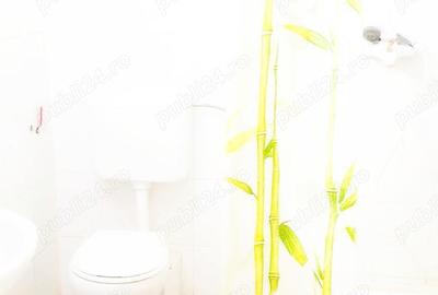 Cazare muncitori in elisabetin, zona apropiata de zona cal. sagului - 7