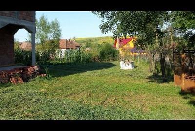 Casă cu 3 camere în Coșeiu - 3