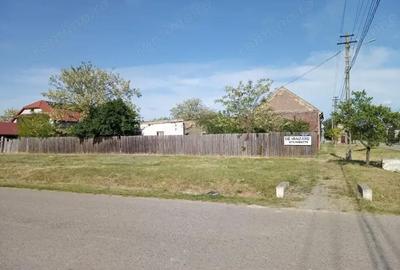 Casă cu 3 camere cu Teren 1527 Mp în Nădlac - 10