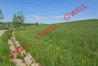 Teren intravilan de 3267 mp, în Barcani - 2