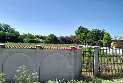 Movilita (IL)-teren de inchiriat aprox. 2 ha stradal, lan... - 3