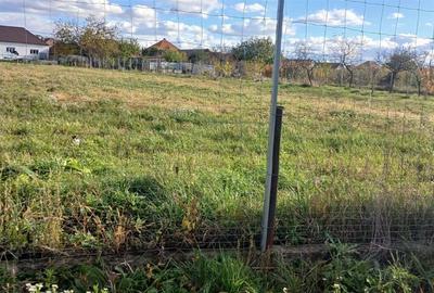 Teren intravilan Biharia - 1