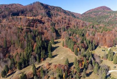 Teren Construcții extravilan de 20000 mp, în Siriu - 6