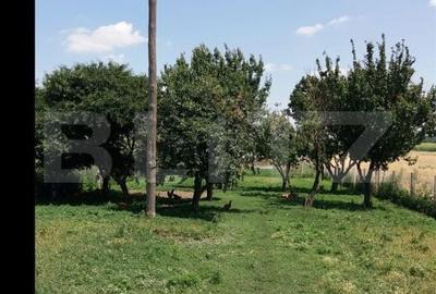 Casă cu 2 camere cu Teren 4700 Mp în Central - 4