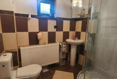 Casă cu 4 camere cu Teren 2600 Mp în Horodnic - 9