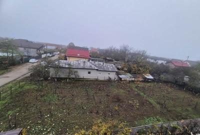 Vanzare Teren  Darza, Crevedia - 1