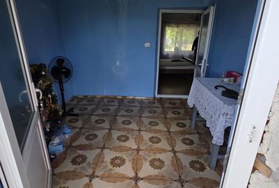 Casă cu 4 camere în Sintea Mare - 6