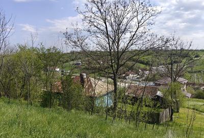 Dolj Casa cu teren generos (10.300 mp) in sat Ungureni - 9