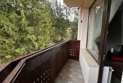 Apartament 2 camere Trei Brazi - 2