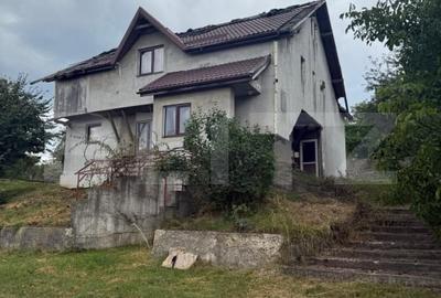Casa etaj, 140 mp utili, 4800 mp teren, Adancata - 1