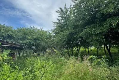 Teren intravilan 939 mp, Tag?oru Nou - 4