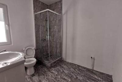 Dobroesti 5 Camere Vila La Curte - 9