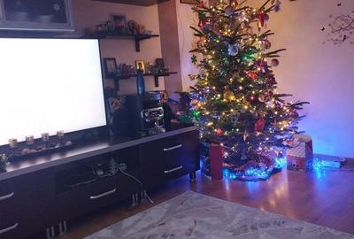 Apartament cu 2 camere decomandat în Năvodari - 9