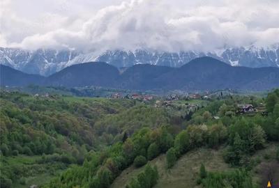 7.000 mp, pozitie spectaculoasa, fara vecini, Fundatica, Brasov - 3