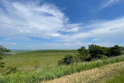 Teren agricol de 18100 mp, în Tureni - 2