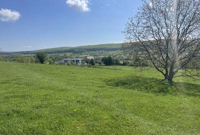 Teren Extravilan ,2386 mp, oportunitate de investitie - 2